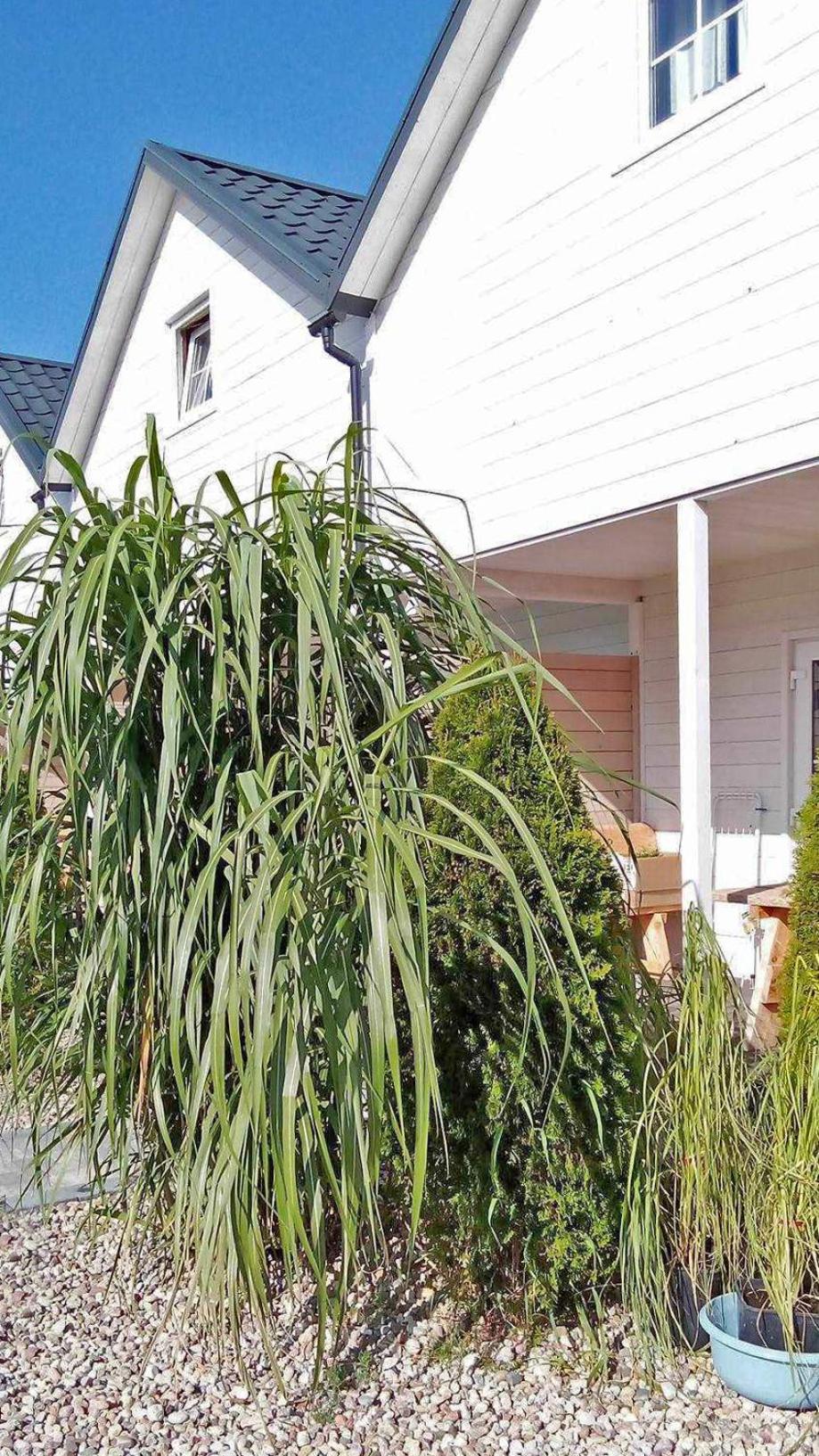 Holiday home Scandinavia Rowy (Pomerania)